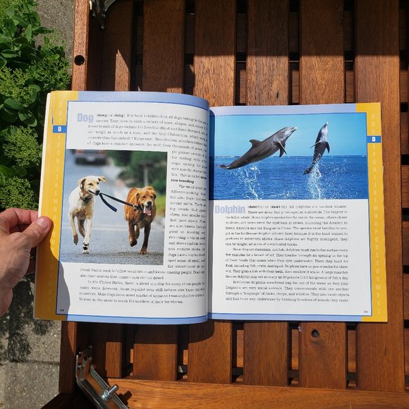 Book | Scholastic Encyclopedia of Animals - Picture 6 of 6